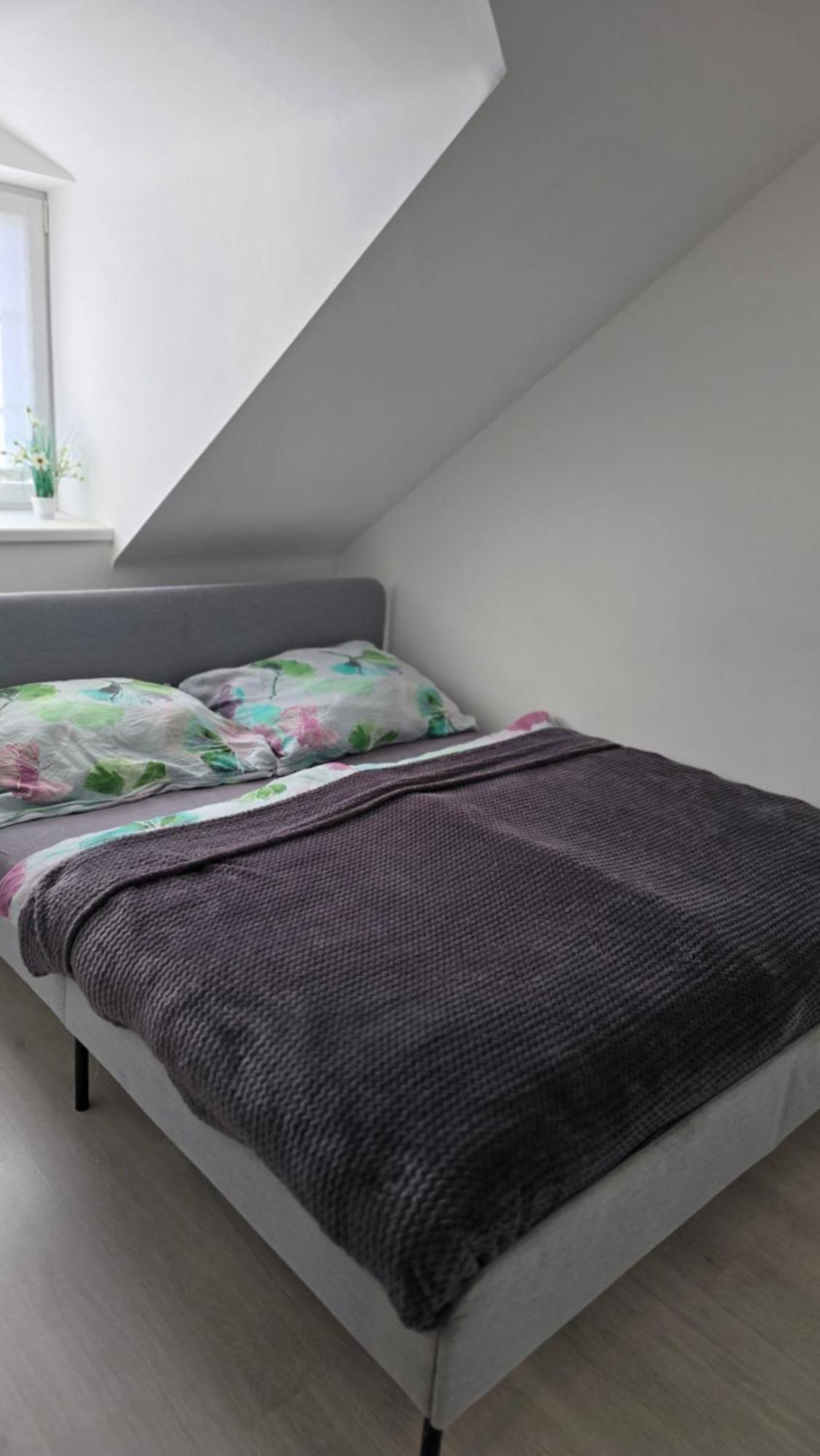 Apartman - Cafe Princ Pod Hradem Wifi, Klima Штернберк Экстерьер фото